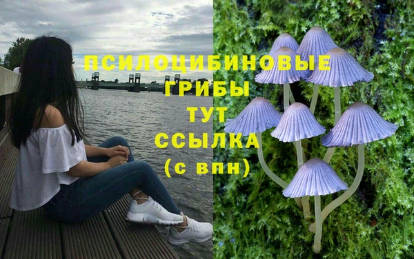apvp Белоозёрский