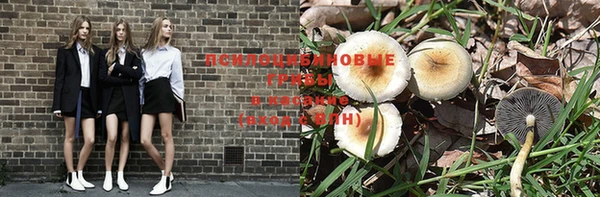 apvp Белоозёрский