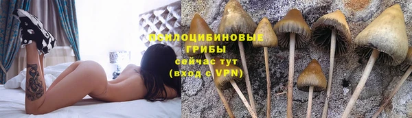 синтетический гашиш Белокуриха