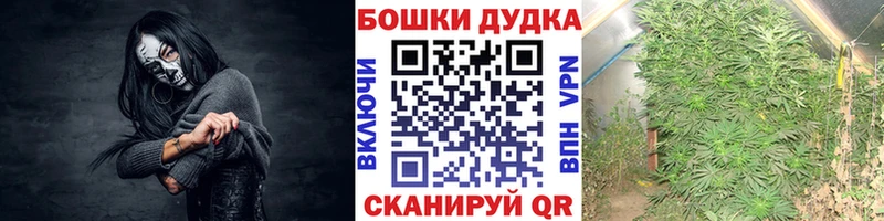 закладки  Дрезна  блэк спрут ONION  Бошки марихуана тримм 
